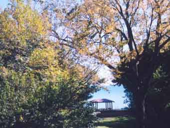 Janssen home exterior